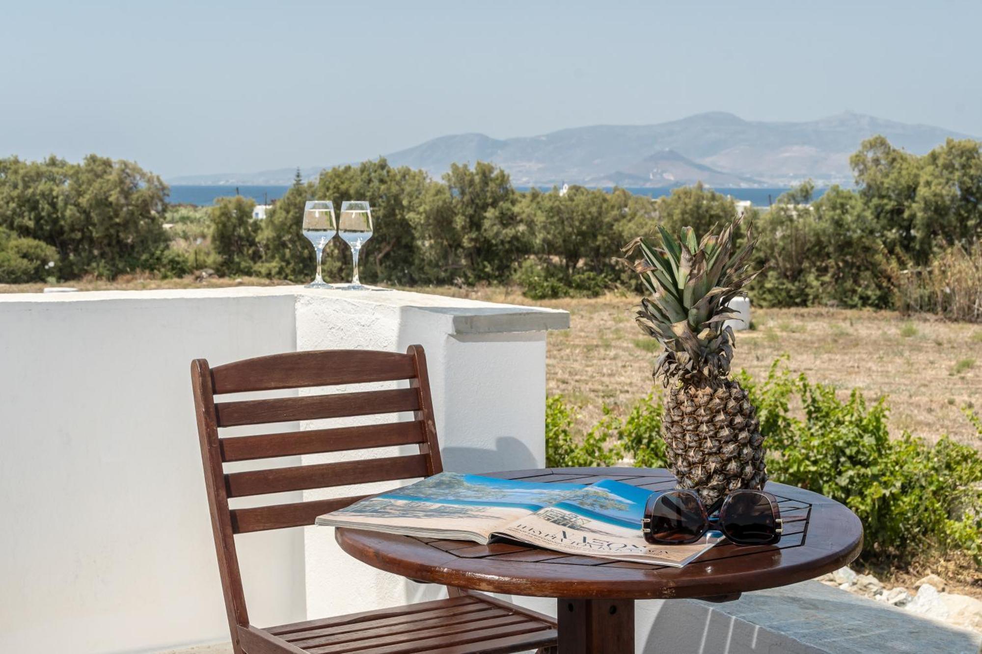 Naxian Serenity Suites Agia Anna  Esterno foto
