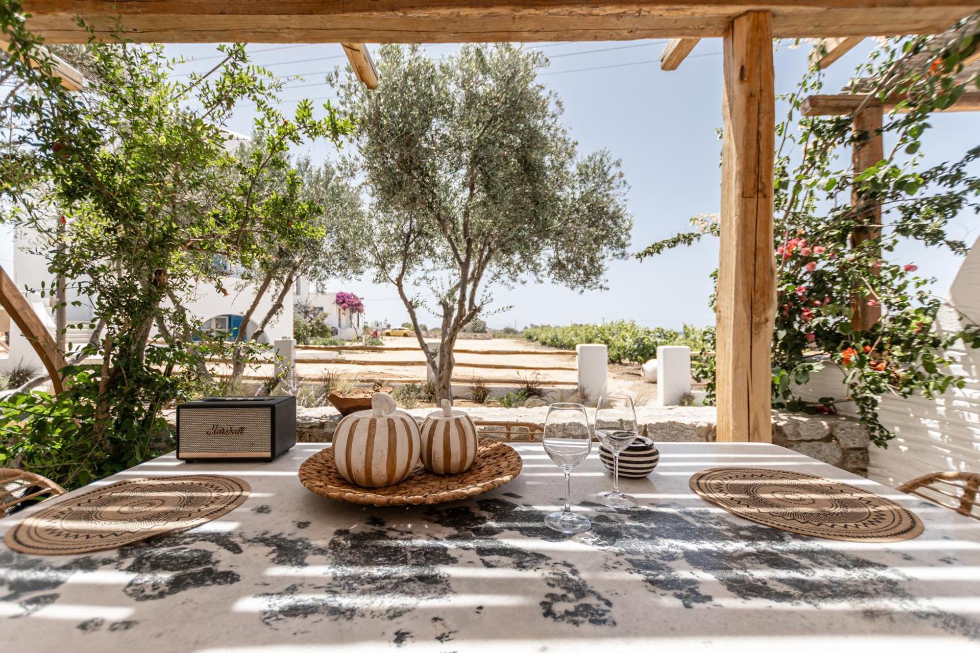 Naxian Serenity Suites Agia Anna  Esterno foto