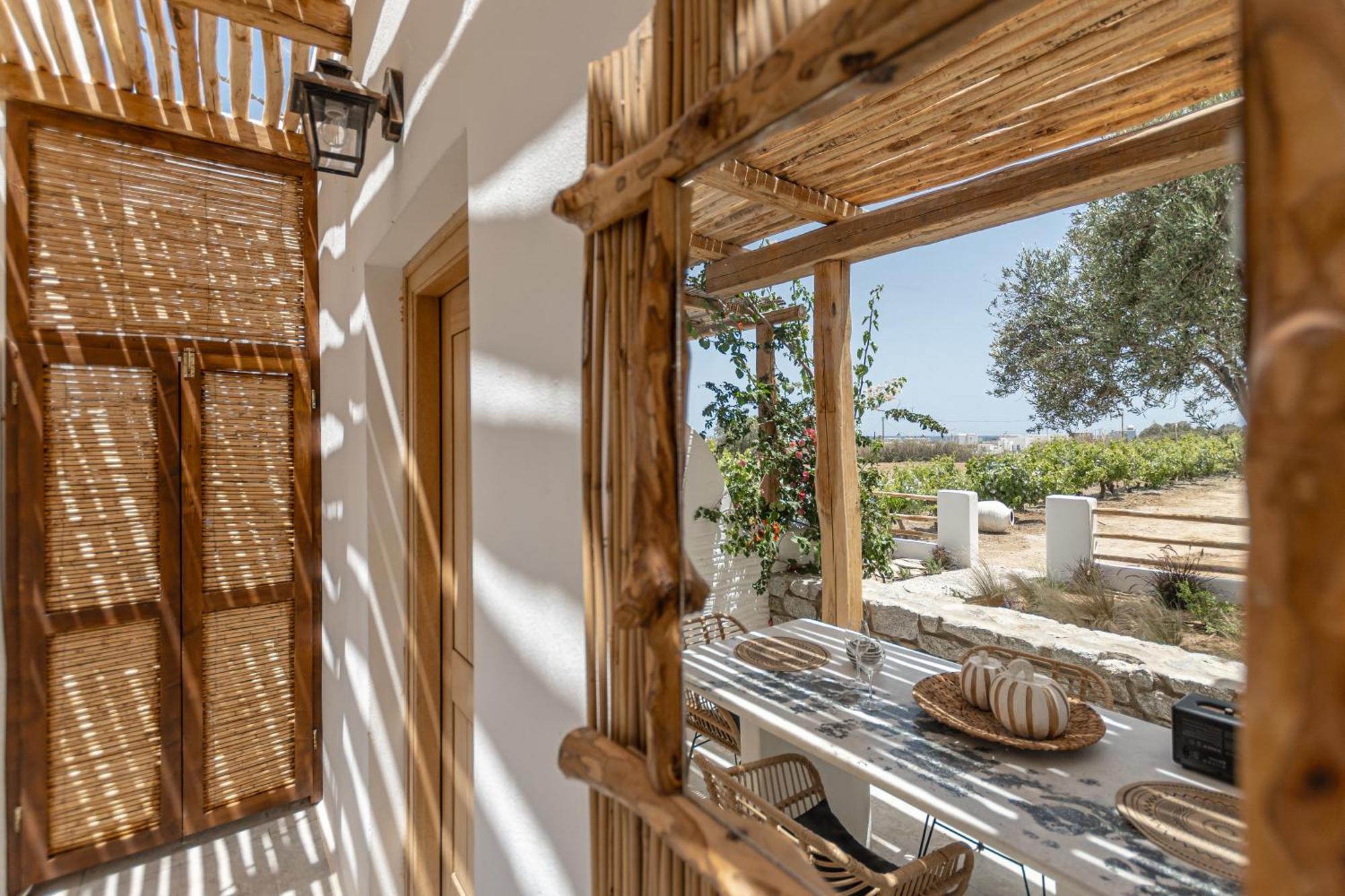 Naxian Serenity Suites Agia Anna  Esterno foto